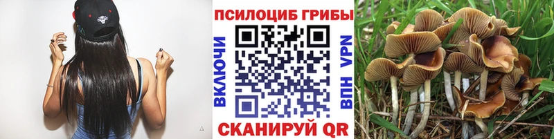 кракен ССЫЛКА  Обнинск  Псилоцибиновые грибы Psilocybine cubensis  закладки 