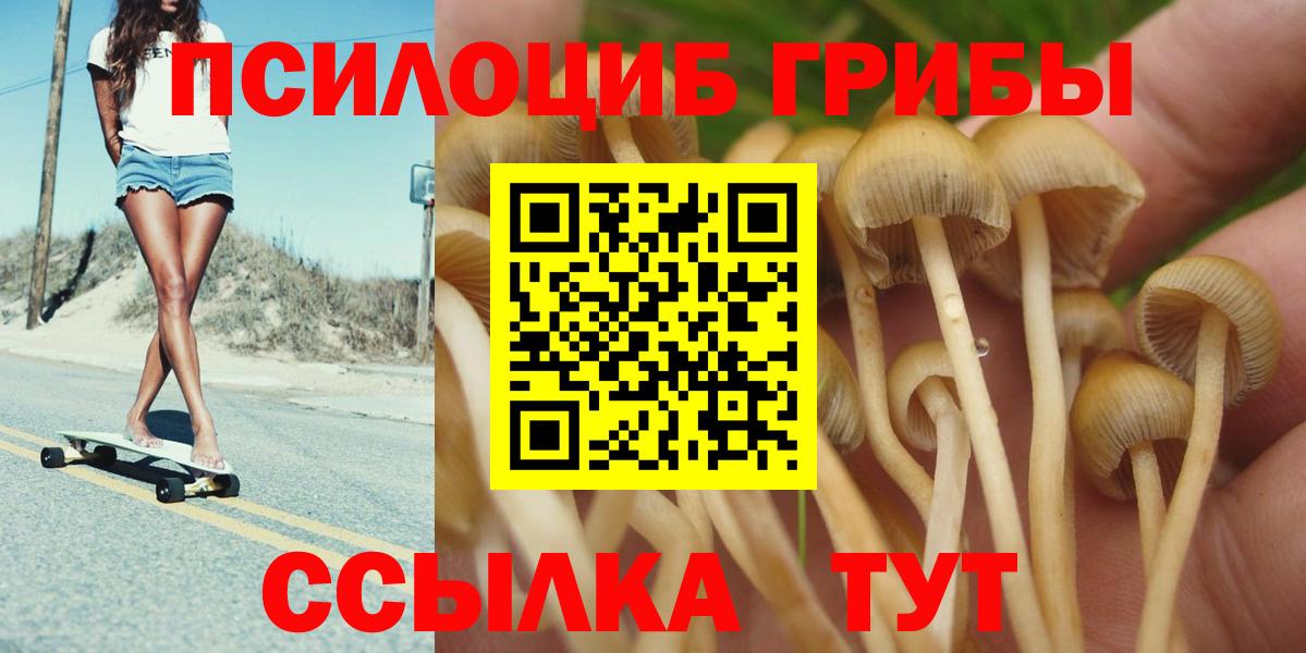 Псилоцибиновые грибы мухоморы Обнинск
